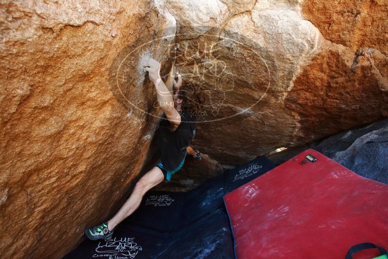 Bouldering in Hueco Tanks on 03/29/2019 with Blue Lizard Climbing and Yoga
Filename: SRM_20190329_1122140.jpg
Aperture: f/5.6
Shutter Speed: 1/200
Body: Canon EOS-1D Mark II
Lens: Canon EF 16-35mm f/2.8 L