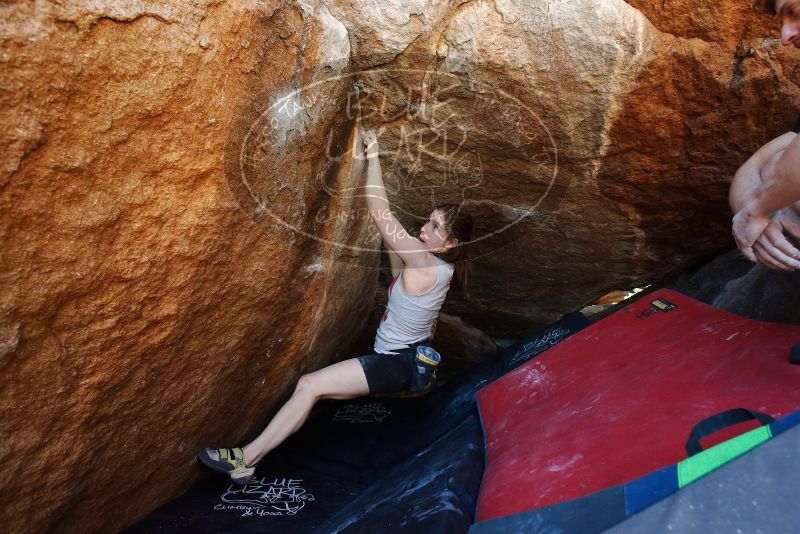 Bouldering in Hueco Tanks on 03/29/2019 with Blue Lizard Climbing and Yoga
Filename: SRM_20190329_1123561.jpg
Aperture: f/5.6
Shutter Speed: 1/200
Body: Canon EOS-1D Mark II
Lens: Canon EF 16-35mm f/2.8 L