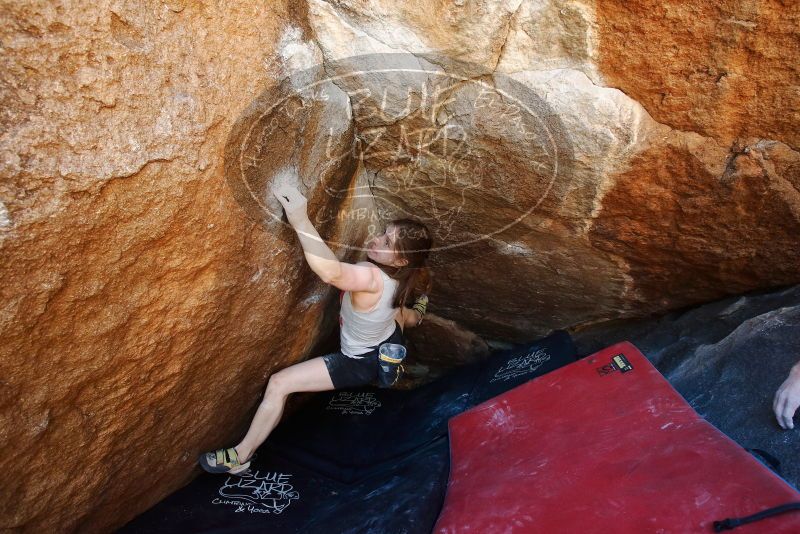 Bouldering in Hueco Tanks on 03/29/2019 with Blue Lizard Climbing and Yoga
Filename: SRM_20190329_1126330.jpg
Aperture: f/5.6
Shutter Speed: 1/200
Body: Canon EOS-1D Mark II
Lens: Canon EF 16-35mm f/2.8 L