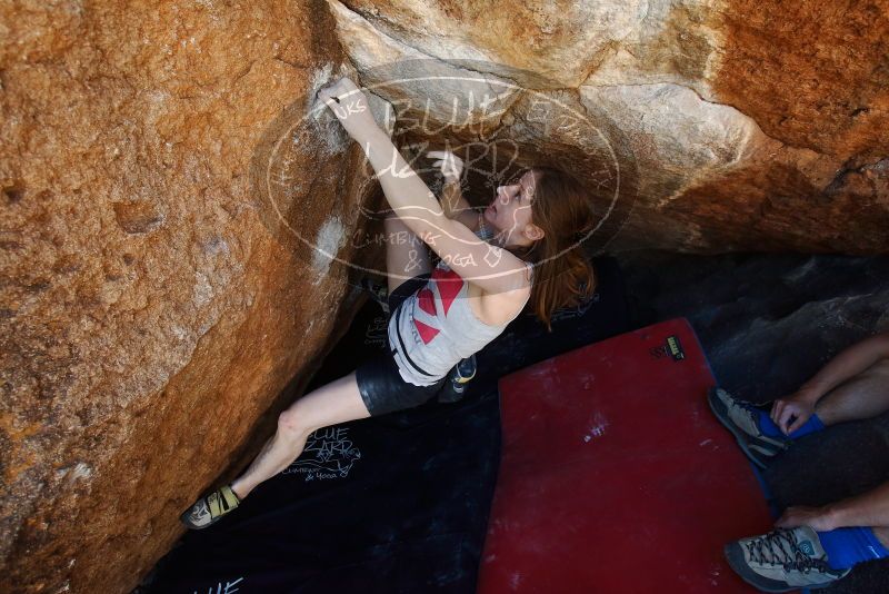 Bouldering in Hueco Tanks on 03/29/2019 with Blue Lizard Climbing and Yoga

Filename: SRM_20190329_1132591.jpg
Aperture: f/5.6
Shutter Speed: 1/250
Body: Canon EOS-1D Mark II
Lens: Canon EF 16-35mm f/2.8 L