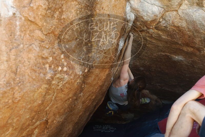 Bouldering in Hueco Tanks on 03/29/2019 with Blue Lizard Climbing and Yoga

Filename: SRM_20190329_1149250.jpg
Aperture: f/4.0
Shutter Speed: 1/200
Body: Canon EOS-1D Mark II
Lens: Canon EF 50mm f/1.8 II