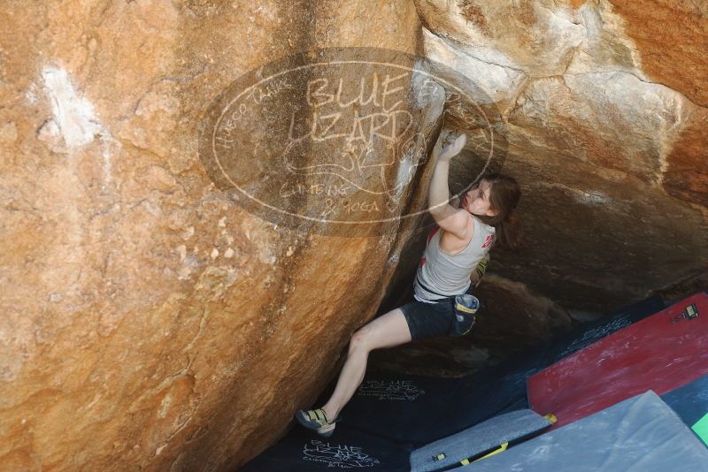 Bouldering in Hueco Tanks on 03/29/2019 with Blue Lizard Climbing and Yoga

Filename: SRM_20190329_1157371.jpg
Aperture: f/4.0
Shutter Speed: 1/200
Body: Canon EOS-1D Mark II
Lens: Canon EF 50mm f/1.8 II