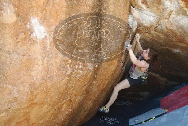 Bouldering in Hueco Tanks on 03/29/2019 with Blue Lizard Climbing and Yoga

Filename: SRM_20190329_1157401.jpg
Aperture: f/4.0
Shutter Speed: 1/200
Body: Canon EOS-1D Mark II
Lens: Canon EF 50mm f/1.8 II