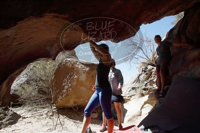 Bouldering in Hueco Tanks on 03/29/2019 with Blue Lizard Climbing and Yoga
Filename: SRM_20190329_1210340.jpg
Aperture: f/5.6
Shutter Speed: 1/500
Body: Canon EOS-1D Mark II
Lens: Canon EF 16-35mm f/2.8 L