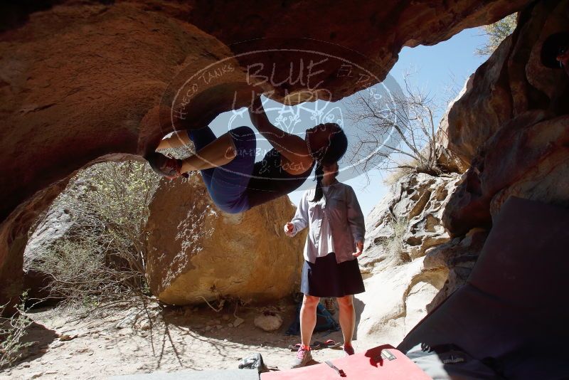 Bouldering in Hueco Tanks on 03/29/2019 with Blue Lizard Climbing and Yoga

Filename: SRM_20190329_1211220.jpg
Aperture: f/5.6
Shutter Speed: 1/500
Body: Canon EOS-1D Mark II
Lens: Canon EF 16-35mm f/2.8 L