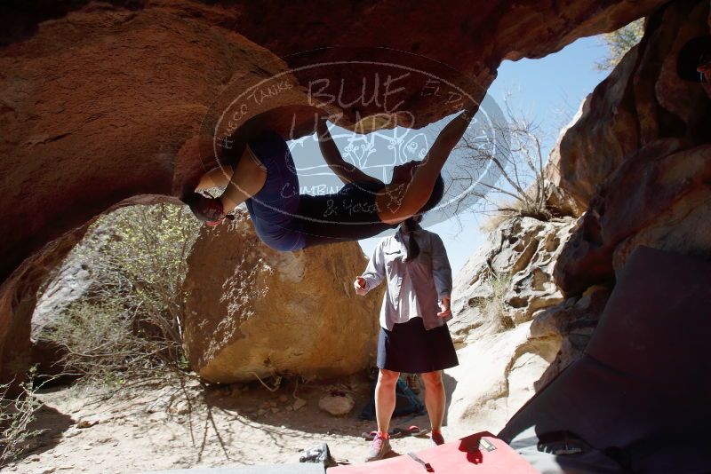 Bouldering in Hueco Tanks on 03/29/2019 with Blue Lizard Climbing and Yoga

Filename: SRM_20190329_1211230.jpg
Aperture: f/5.6
Shutter Speed: 1/500
Body: Canon EOS-1D Mark II
Lens: Canon EF 16-35mm f/2.8 L