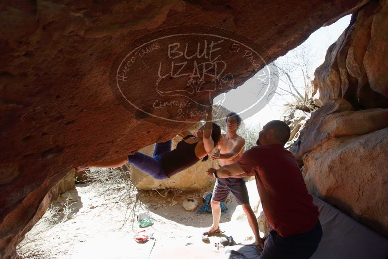 Bouldering in Hueco Tanks on 03/29/2019 with Blue Lizard Climbing and Yoga

Filename: SRM_20190329_1227341.jpg
Aperture: f/5.6
Shutter Speed: 1/500
Body: Canon EOS-1D Mark II
Lens: Canon EF 16-35mm f/2.8 L