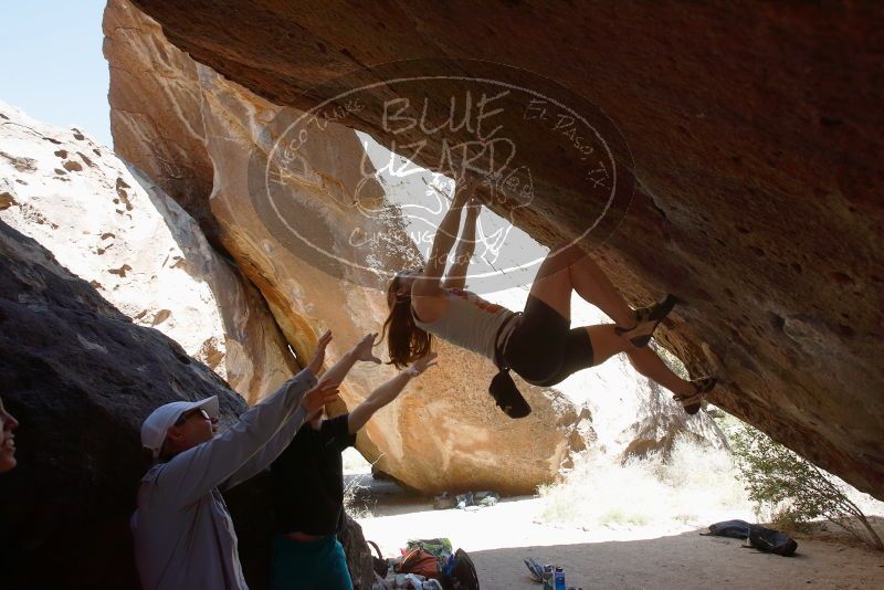 Bouldering in Hueco Tanks on 03/29/2019 with Blue Lizard Climbing and Yoga

Filename: SRM_20190329_1230340.jpg
Aperture: f/5.6
Shutter Speed: 1/400
Body: Canon EOS-1D Mark II
Lens: Canon EF 16-35mm f/2.8 L