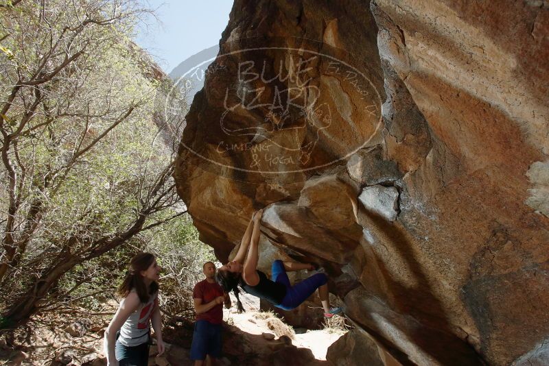 Bouldering in Hueco Tanks on 03/29/2019 with Blue Lizard Climbing and Yoga
Filename: SRM_20190329_1444270.jpg
Aperture: f/5.6
Shutter Speed: 1/250
Body: Canon EOS-1D Mark II
Lens: Canon EF 16-35mm f/2.8 L
