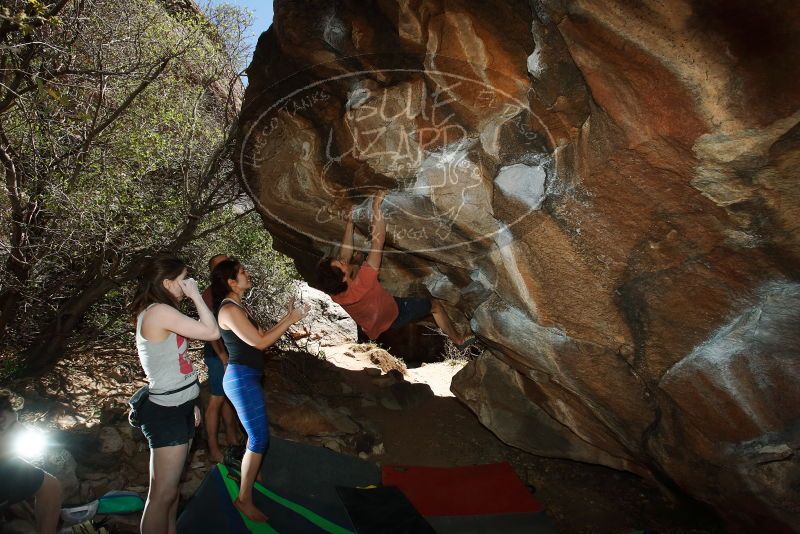 Bouldering in Hueco Tanks on 03/29/2019 with Blue Lizard Climbing and Yoga
Filename: SRM_20190329_1446550.jpg
Aperture: f/6.3
Shutter Speed: 1/250
Body: Canon EOS-1D Mark II
Lens: Canon EF 16-35mm f/2.8 L