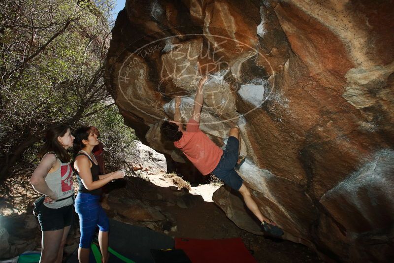 Bouldering in Hueco Tanks on 03/29/2019 with Blue Lizard Climbing and Yoga

Filename: SRM_20190329_1447070.jpg
Aperture: f/6.3
Shutter Speed: 1/250
Body: Canon EOS-1D Mark II
Lens: Canon EF 16-35mm f/2.8 L