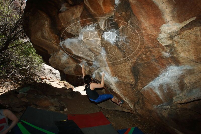 Bouldering in Hueco Tanks on 03/29/2019 with Blue Lizard Climbing and Yoga
Filename: SRM_20190329_1456380.jpg
Aperture: f/6.3
Shutter Speed: 1/250
Body: Canon EOS-1D Mark II
Lens: Canon EF 16-35mm f/2.8 L