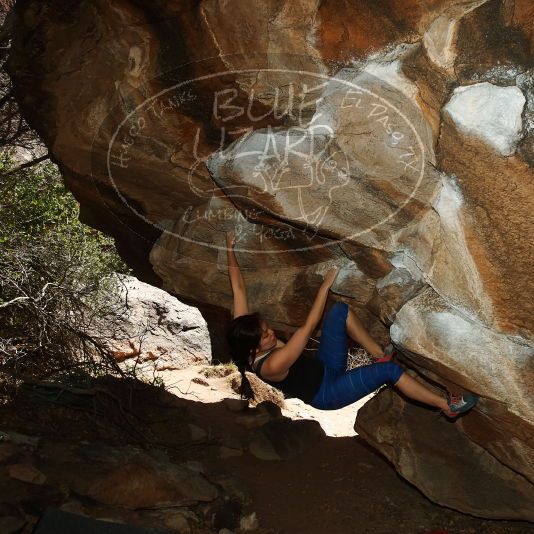 

Filename: SRM_20190329_1456470.jpg
Aperture: f/6.3
Shutter Speed: 1/250
Body: Canon EOS-1D Mark II
Lens: Canon EF 16-35mm f/2.8 L