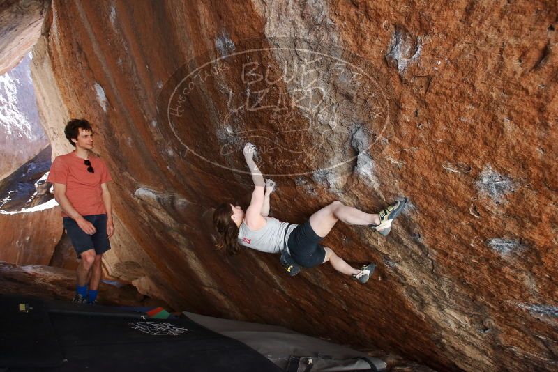 Bouldering in Hueco Tanks on 03/29/2019 with Blue Lizard Climbing and Yoga
Filename: SRM_20190329_1543050.jpg
Aperture: f/4.5
Shutter Speed: 1/250
Body: Canon EOS-1D Mark II
Lens: Canon EF 16-35mm f/2.8 L