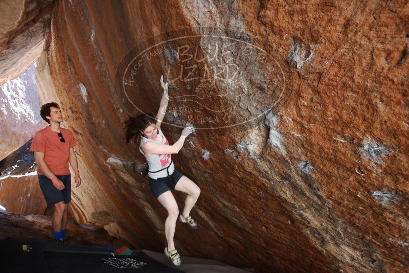 Bouldering in Hueco Tanks on 03/29/2019 with Blue Lizard Climbing and Yoga
Filename: SRM_20190329_1543112.jpg
Aperture: f/4.5
Shutter Speed: 1/250
Body: Canon EOS-1D Mark II
Lens: Canon EF 16-35mm f/2.8 L