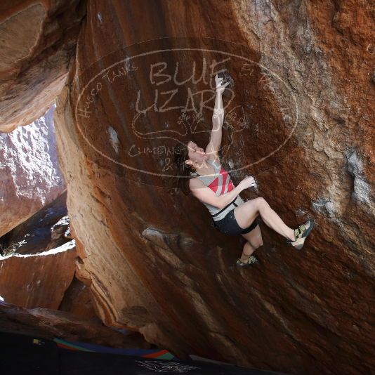 

Filename: SRM_20190329_1549340.jpg
Aperture: f/5.6
Shutter Speed: 1/250
Body: Canon EOS-1D Mark II
Lens: Canon EF 16-35mm f/2.8 L