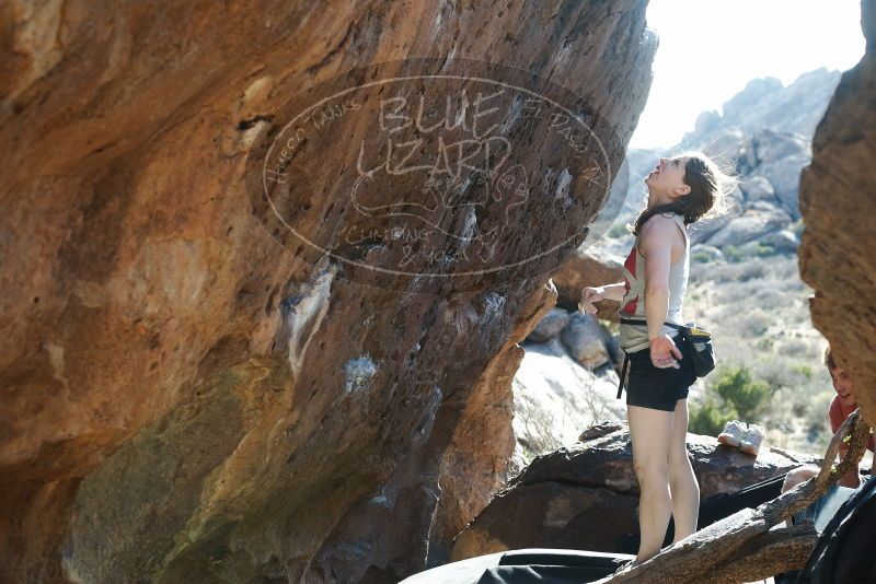 Bouldering in Hueco Tanks on 03/29/2019 with Blue Lizard Climbing and Yoga

Filename: SRM_20190329_1726130.jpg
Aperture: f/4.0
Shutter Speed: 1/250
Body: Canon EOS-1D Mark II
Lens: Canon EF 50mm f/1.8 II
