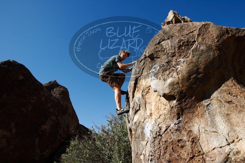 

Filename: SRM_20190329_0942190.jpg
Aperture: f/5.6
Shutter Speed: 1/800
Body: Canon EOS-1D Mark II
Lens: Canon EF 16-35mm f/2.8 L