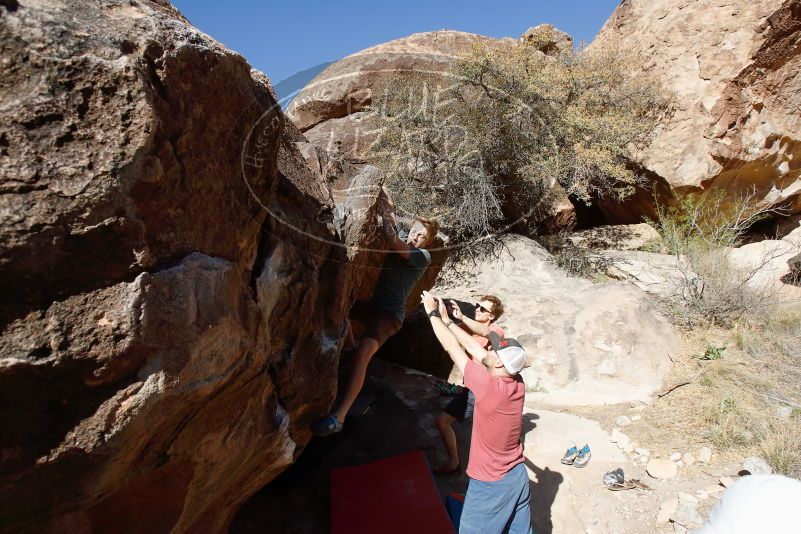 

Filename: SRM_20190329_0958390.jpg
Aperture: f/5.6
Shutter Speed: 1/1600
Body: Canon EOS-1D Mark II
Lens: Canon EF 16-35mm f/2.8 L