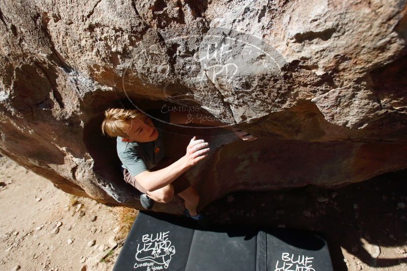 

Filename: SRM_20190329_1005150.jpg
Aperture: f/5.6
Shutter Speed: 1/800
Body: Canon EOS-1D Mark II
Lens: Canon EF 16-35mm f/2.8 L