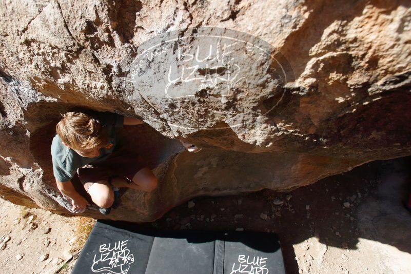 

Filename: SRM_20190329_1005310.jpg
Aperture: f/5.6
Shutter Speed: 1/500
Body: Canon EOS-1D Mark II
Lens: Canon EF 16-35mm f/2.8 L