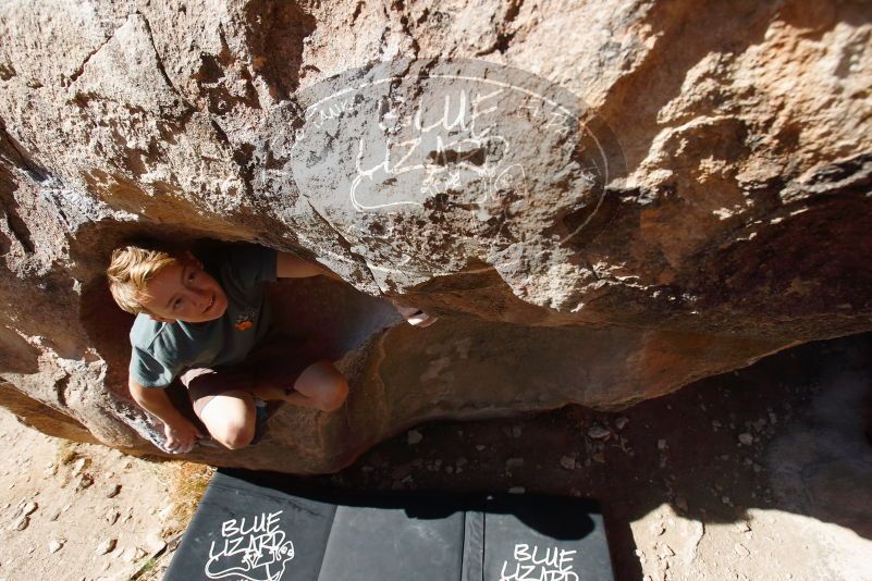 

Filename: SRM_20190329_1005330.jpg
Aperture: f/5.6
Shutter Speed: 1/500
Body: Canon EOS-1D Mark II
Lens: Canon EF 16-35mm f/2.8 L