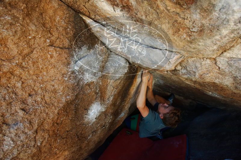 

Filename: SRM_20190329_1016470.jpg
Aperture: f/5.6
Shutter Speed: 1/250
Body: Canon EOS-1D Mark II
Lens: Canon EF 16-35mm f/2.8 L