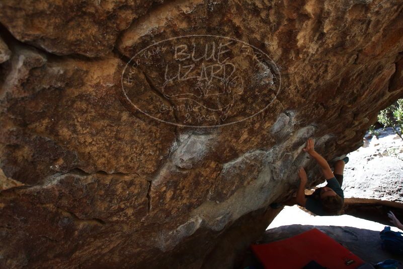 

Filename: SRM_20190329_1030140.jpg
Aperture: f/5.6
Shutter Speed: 1/250
Body: Canon EOS-1D Mark II
Lens: Canon EF 16-35mm f/2.8 L