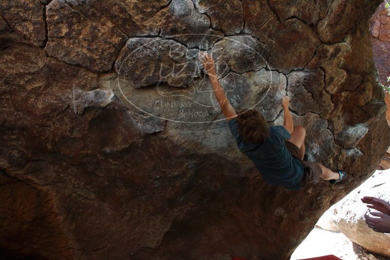 

Filename: SRM_20190329_1043380.jpg
Aperture: f/5.6
Shutter Speed: 1/250
Body: Canon EOS-1D Mark II
Lens: Canon EF 16-35mm f/2.8 L