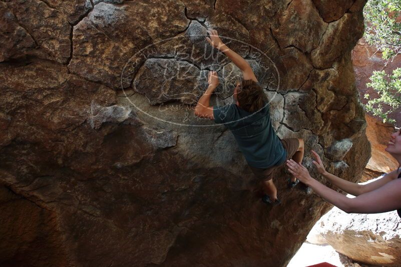 

Filename: SRM_20190329_1043460.jpg
Aperture: f/5.6
Shutter Speed: 1/250
Body: Canon EOS-1D Mark II
Lens: Canon EF 16-35mm f/2.8 L