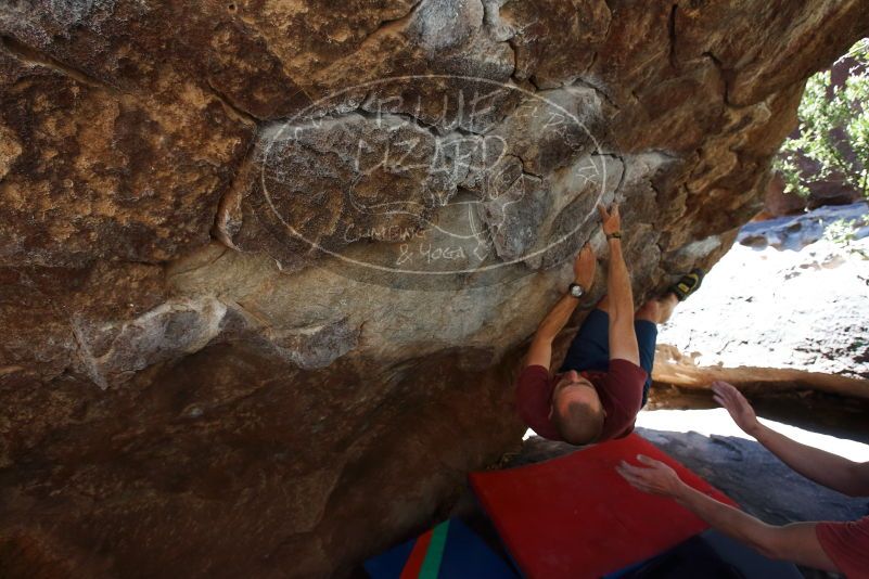 

Filename: SRM_20190329_1047550.jpg
Aperture: f/5.6
Shutter Speed: 1/250
Body: Canon EOS-1D Mark II
Lens: Canon EF 16-35mm f/2.8 L