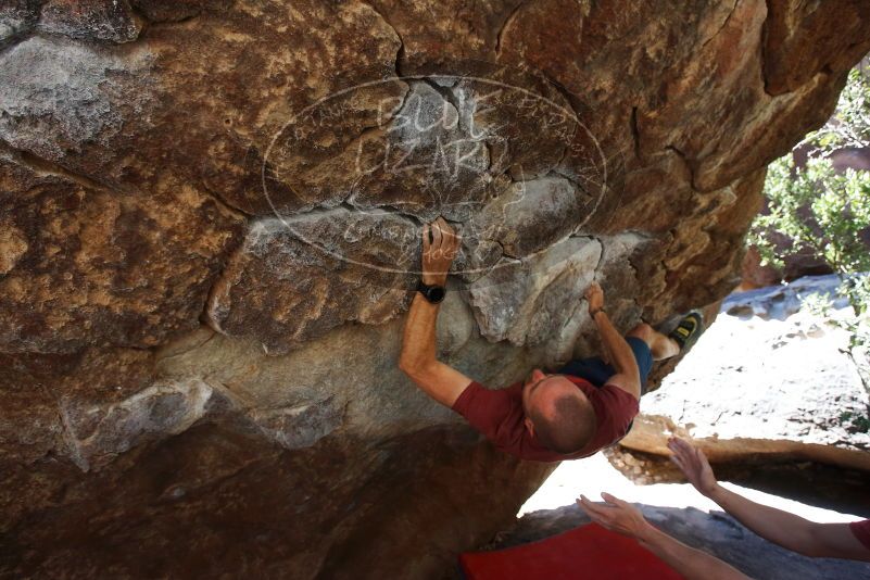 

Filename: SRM_20190329_1048020.jpg
Aperture: f/5.6
Shutter Speed: 1/250
Body: Canon EOS-1D Mark II
Lens: Canon EF 16-35mm f/2.8 L