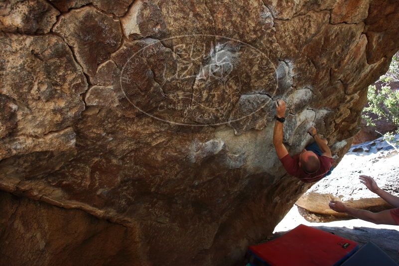 

Filename: SRM_20190329_1055090.jpg
Aperture: f/5.6
Shutter Speed: 1/250
Body: Canon EOS-1D Mark II
Lens: Canon EF 16-35mm f/2.8 L