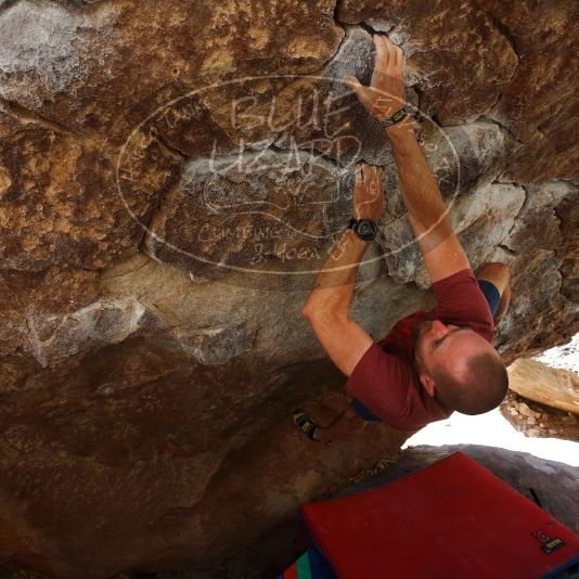 

Filename: SRM_20190329_1058470.jpg
Aperture: f/5.6
Shutter Speed: 1/250
Body: Canon EOS-1D Mark II
Lens: Canon EF 16-35mm f/2.8 L