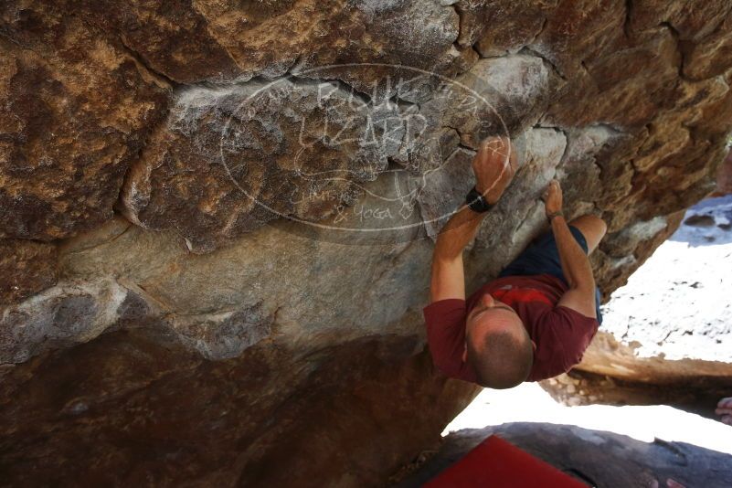 

Filename: SRM_20190329_1103350.jpg
Aperture: f/5.6
Shutter Speed: 1/250
Body: Canon EOS-1D Mark II
Lens: Canon EF 16-35mm f/2.8 L