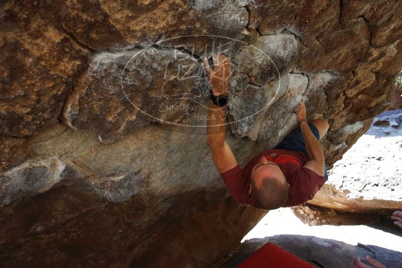 

Filename: SRM_20190329_1103351.jpg
Aperture: f/5.6
Shutter Speed: 1/250
Body: Canon EOS-1D Mark II
Lens: Canon EF 16-35mm f/2.8 L