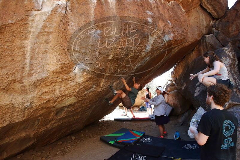 

Filename: SRM_20190329_1225270.jpg
Aperture: f/5.6
Shutter Speed: 1/200
Body: Canon EOS-1D Mark II
Lens: Canon EF 16-35mm f/2.8 L