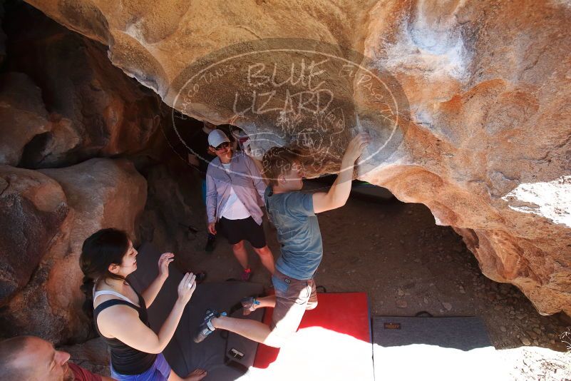 

Filename: SRM_20190329_1235381.jpg
Aperture: f/5.6
Shutter Speed: 1/320
Body: Canon EOS-1D Mark II
Lens: Canon EF 16-35mm f/2.8 L