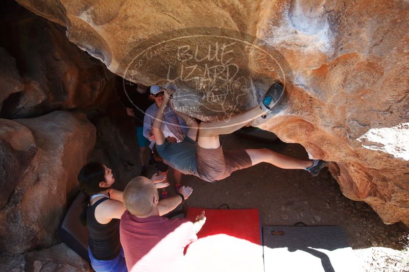 

Filename: SRM_20190329_1235500.jpg
Aperture: f/5.6
Shutter Speed: 1/400
Body: Canon EOS-1D Mark II
Lens: Canon EF 16-35mm f/2.8 L