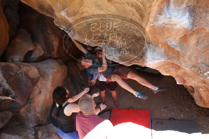 

Filename: SRM_20190329_1236060.jpg
Aperture: f/5.6
Shutter Speed: 1/320
Body: Canon EOS-1D Mark II
Lens: Canon EF 16-35mm f/2.8 L