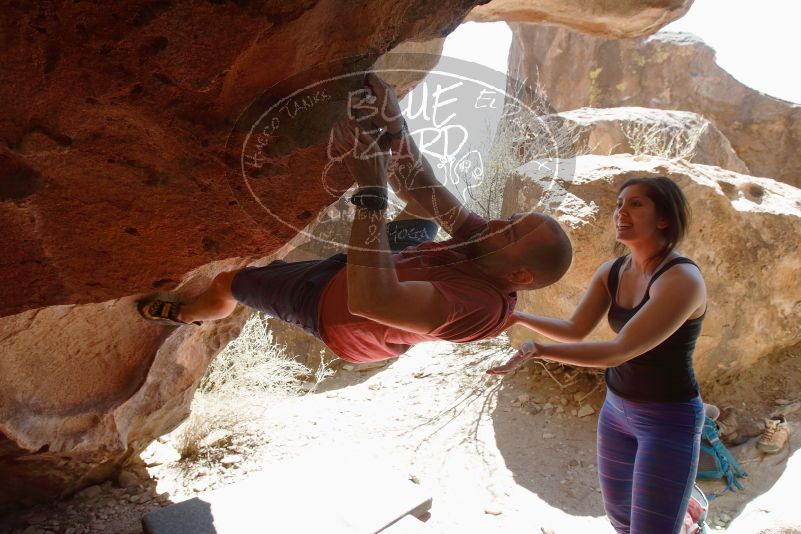 

Filename: SRM_20190329_1257301.jpg
Aperture: f/5.6
Shutter Speed: 1/400
Body: Canon EOS-1D Mark II
Lens: Canon EF 16-35mm f/2.8 L