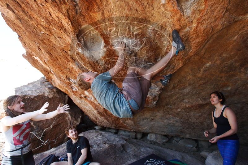 

Filename: SRM_20190329_1420300.jpg
Aperture: f/5.6
Shutter Speed: 1/250
Body: Canon EOS-1D Mark II
Lens: Canon EF 16-35mm f/2.8 L