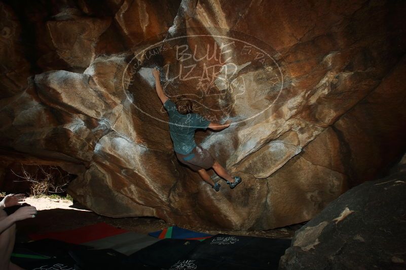 

Filename: SRM_20190329_1448270.jpg
Aperture: f/6.3
Shutter Speed: 1/250
Body: Canon EOS-1D Mark II
Lens: Canon EF 16-35mm f/2.8 L