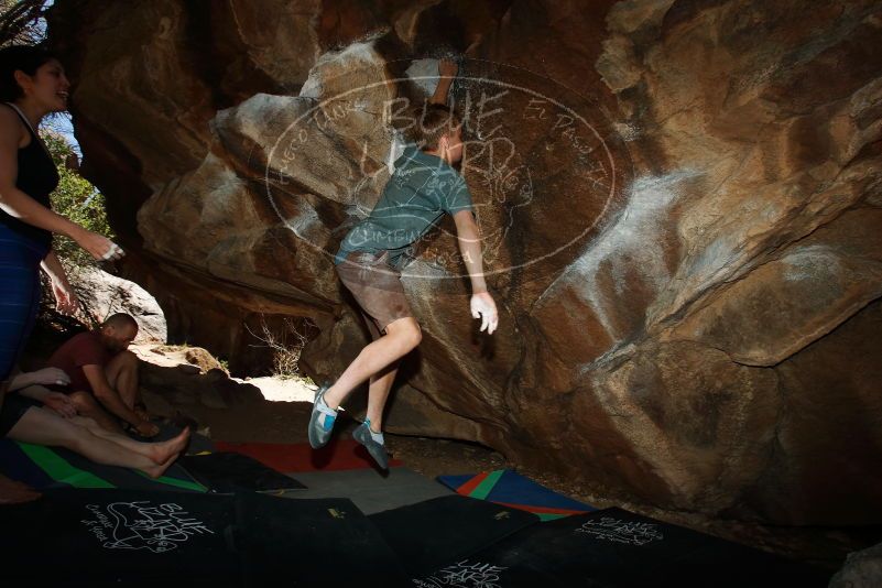 

Filename: SRM_20190329_1450321.jpg
Aperture: f/6.3
Shutter Speed: 1/250
Body: Canon EOS-1D Mark II
Lens: Canon EF 16-35mm f/2.8 L