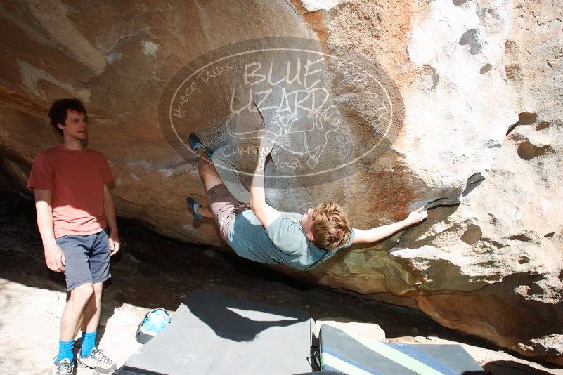 

Filename: SRM_20190329_1643000.jpg
Aperture: f/5.6
Shutter Speed: 1/250
Body: Canon EOS-1D Mark II
Lens: Canon EF 16-35mm f/2.8 L