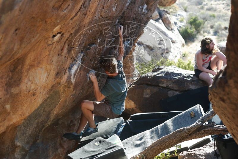 

Filename: SRM_20190329_1738310.jpg
Aperture: f/4.0
Shutter Speed: 1/250
Body: Canon EOS-1D Mark II
Lens: Canon EF 50mm f/1.8 II