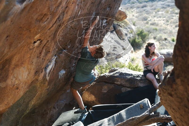 

Filename: SRM_20190329_1738350.jpg
Aperture: f/4.0
Shutter Speed: 1/250
Body: Canon EOS-1D Mark II
Lens: Canon EF 50mm f/1.8 II