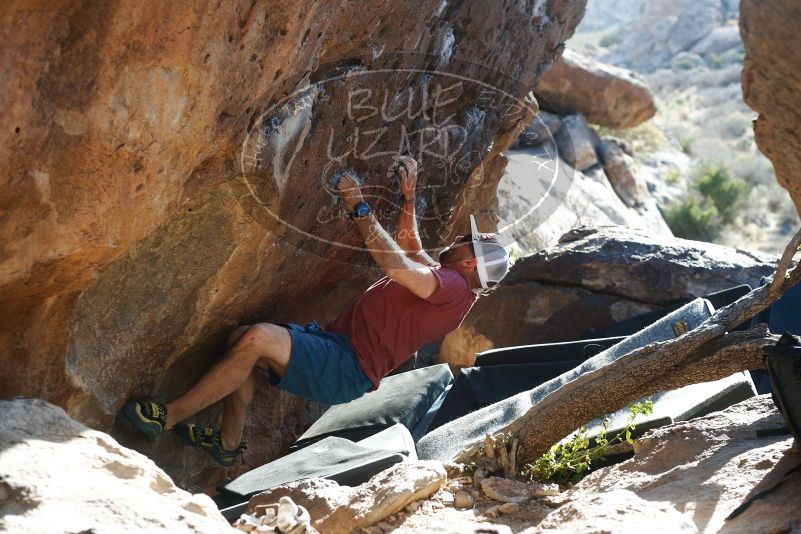 

Filename: SRM_20190329_1739030.jpg
Aperture: f/4.0
Shutter Speed: 1/250
Body: Canon EOS-1D Mark II
Lens: Canon EF 50mm f/1.8 II