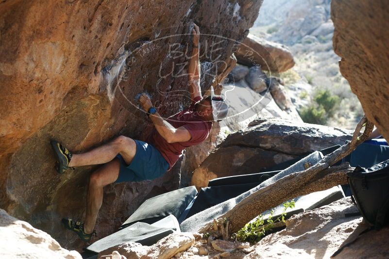 

Filename: SRM_20190329_1739040.jpg
Aperture: f/4.0
Shutter Speed: 1/250
Body: Canon EOS-1D Mark II
Lens: Canon EF 50mm f/1.8 II