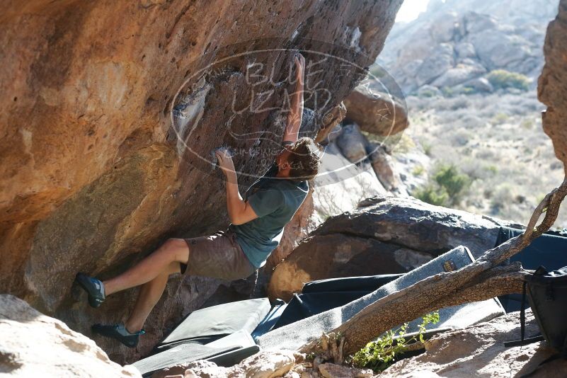 

Filename: SRM_20190329_1740290.jpg
Aperture: f/4.0
Shutter Speed: 1/250
Body: Canon EOS-1D Mark II
Lens: Canon EF 50mm f/1.8 II